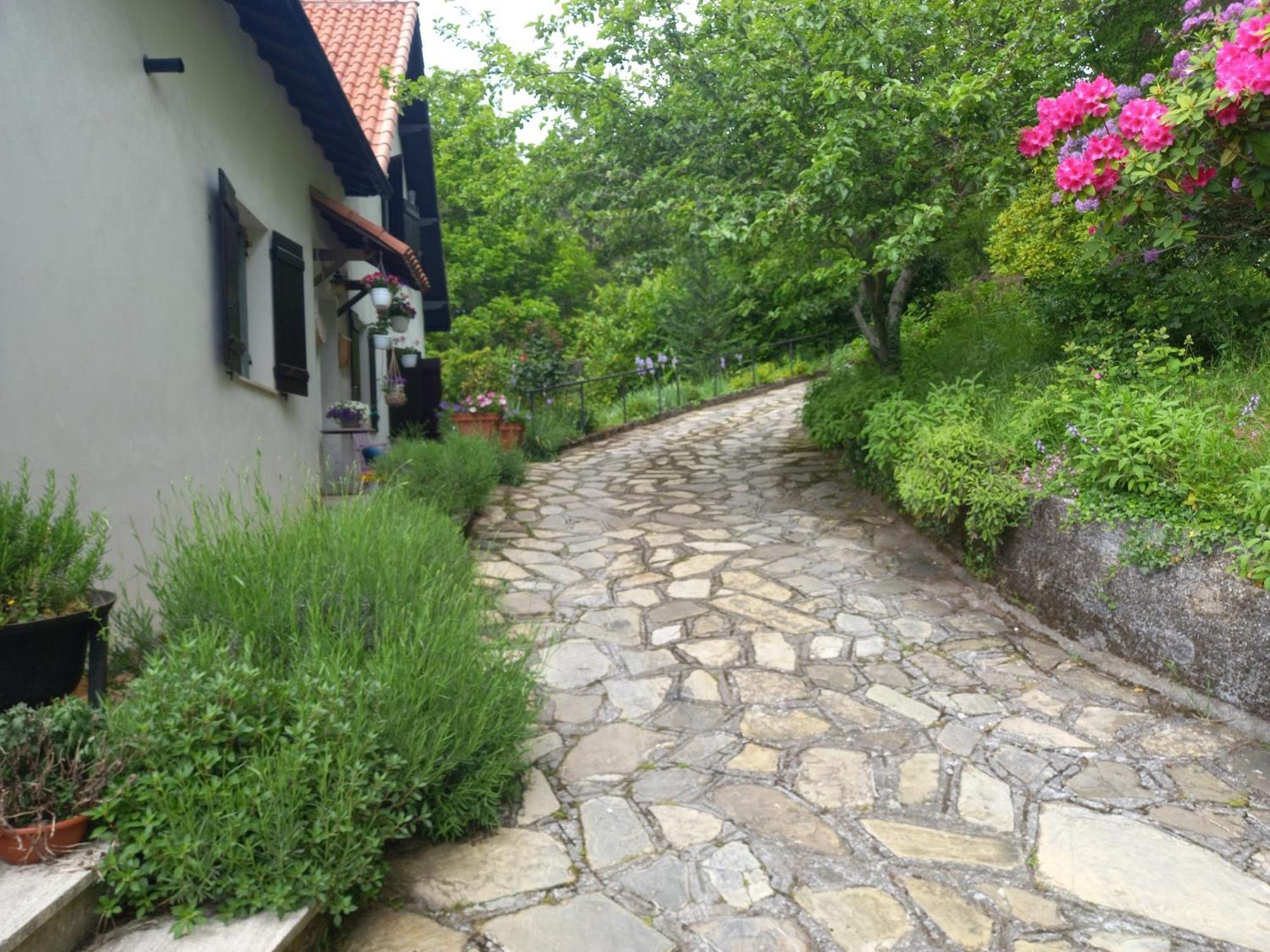 B&B Le Camelie Del Bosco Baiardo Buitenkant foto