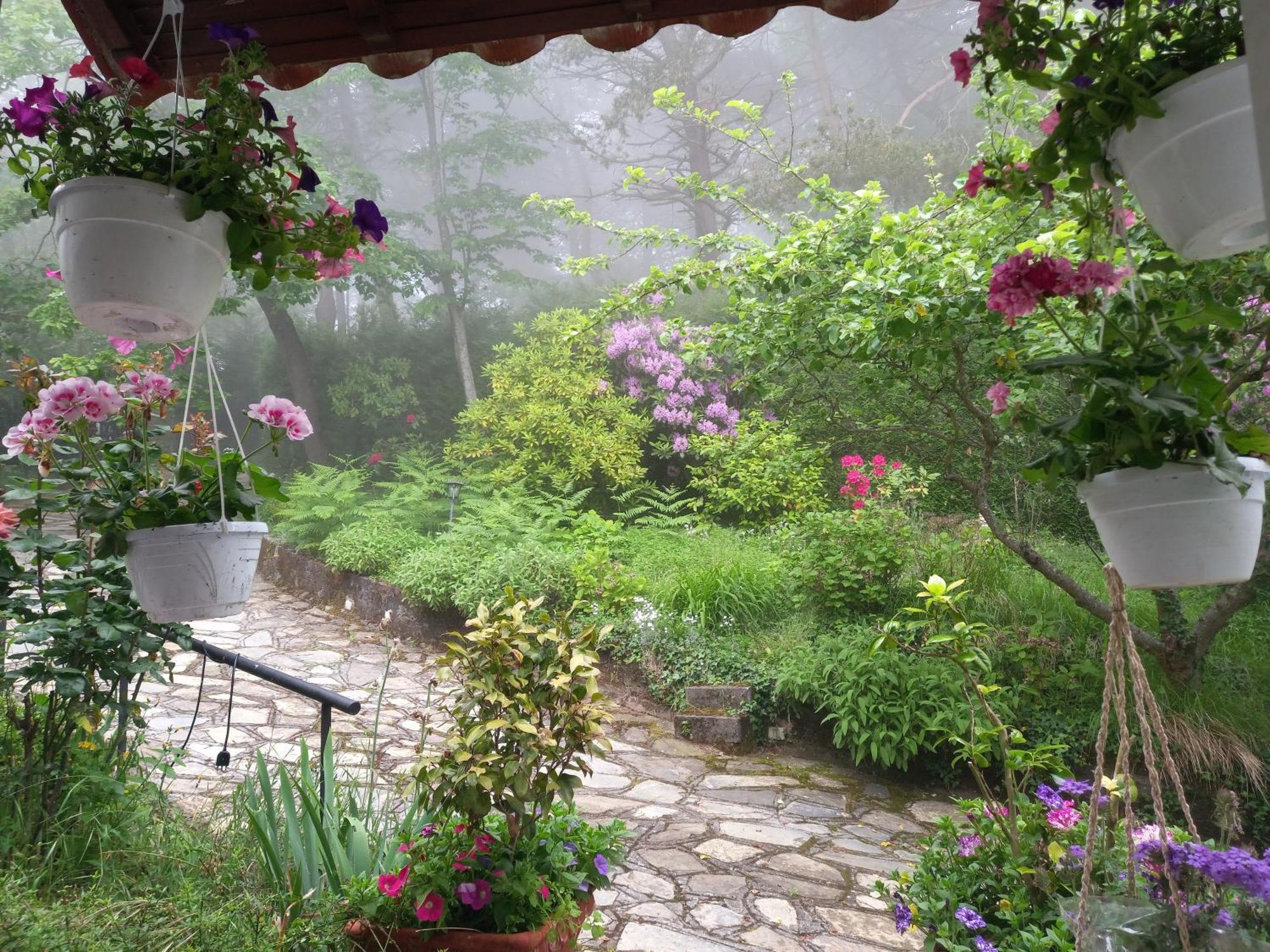 B&B Le Camelie Del Bosco Baiardo Buitenkant foto