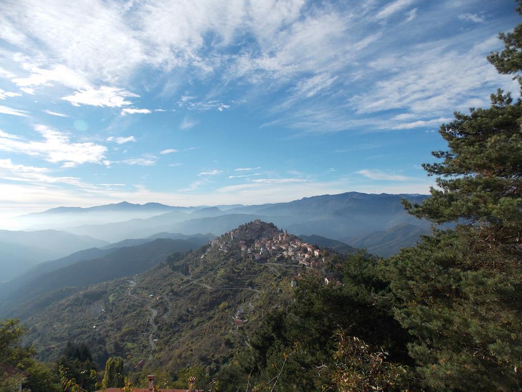 B&B Le Camelie Del Bosco Baiardo Buitenkant foto