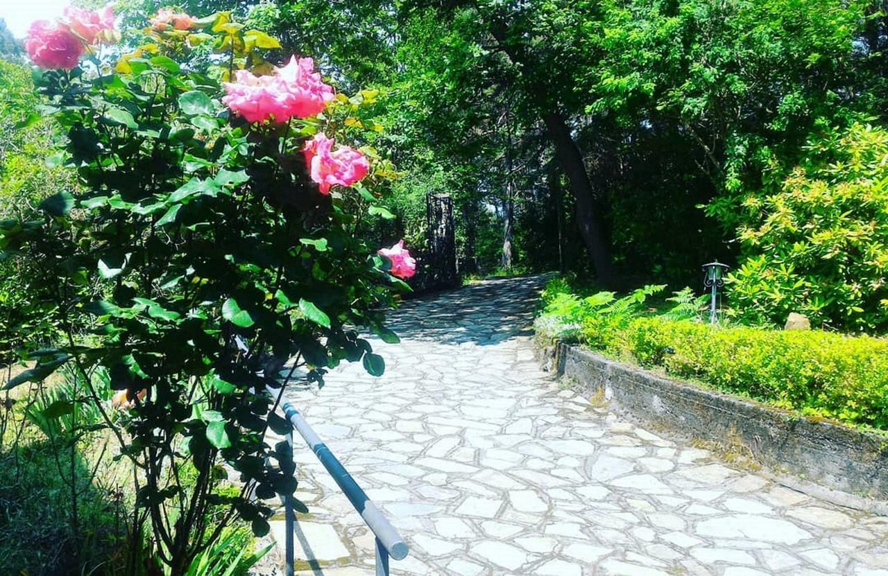 B&B Le Camelie Del Bosco Baiardo Buitenkant foto